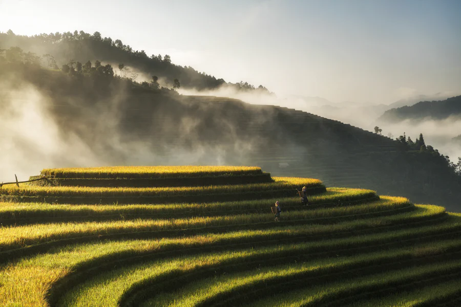 越南梯田風景